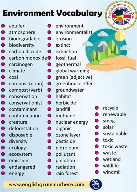 What is a environment 120 words?