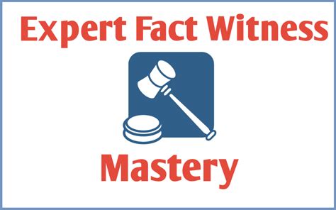 What is a fact witness?