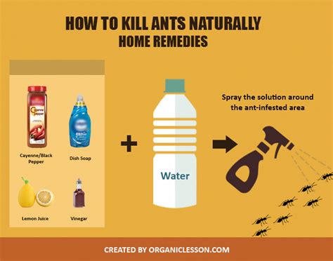 What is a fast natural ant killer?