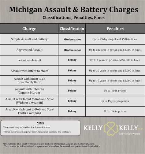 What is a felony charge in Michigan?
