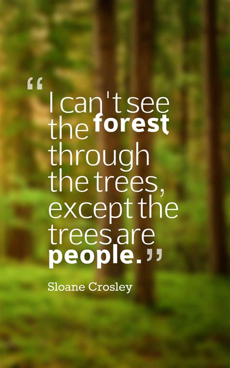What is a forest quote?