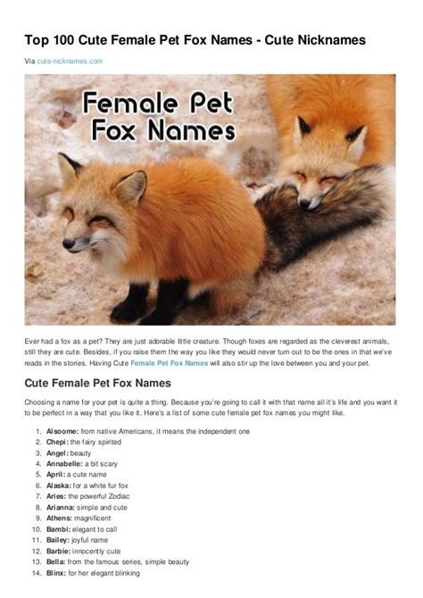 What is a fox girl called?