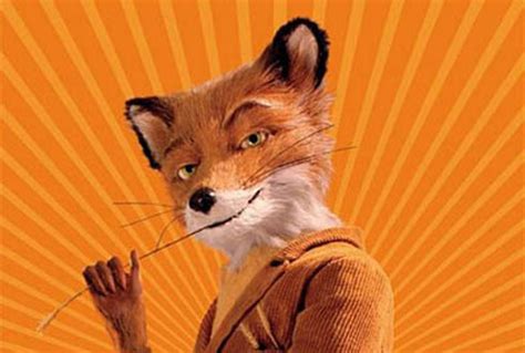 What is a fox in slang?