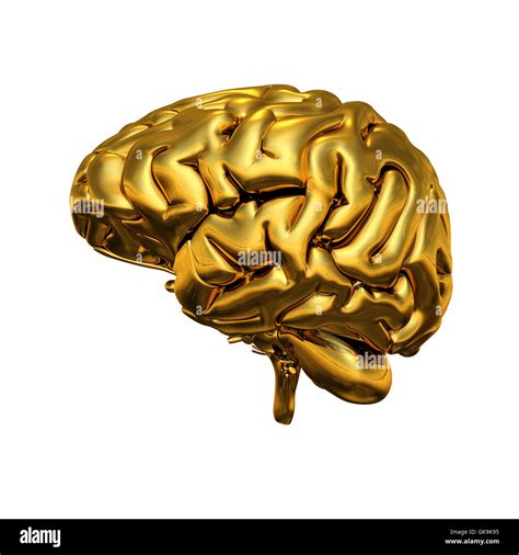 What is a golden brain personality?