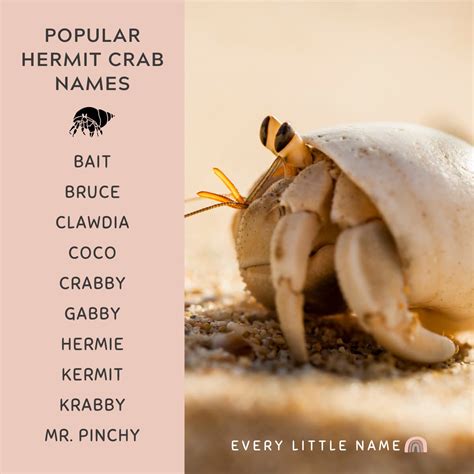 What is a good name for a crab?