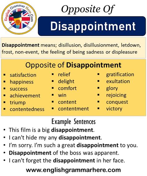 What is a good sentence for disappointment?