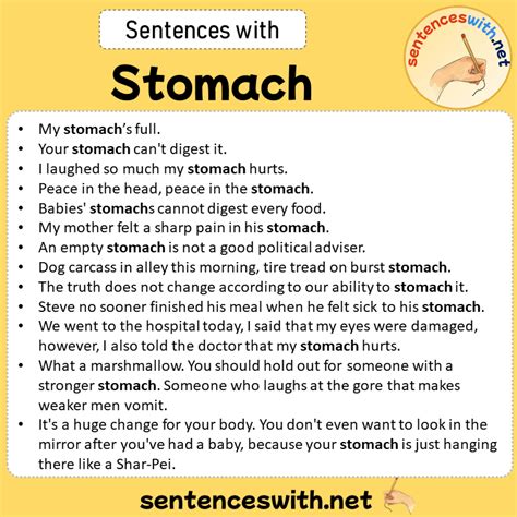 What is a good sentence for stomach?