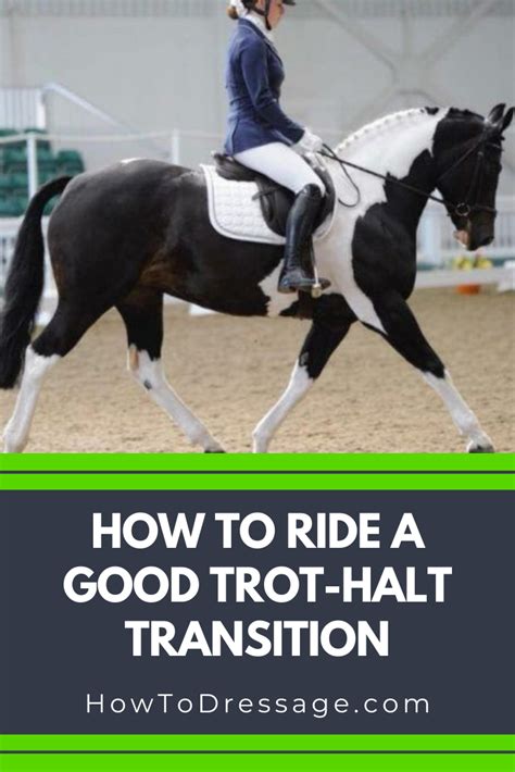 What is a good trot?