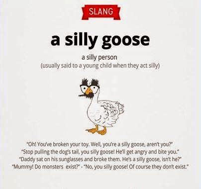 What is a goose slang?