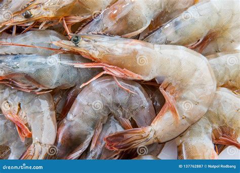 What is a group of prawns?