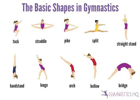 What is a gymnast body type?