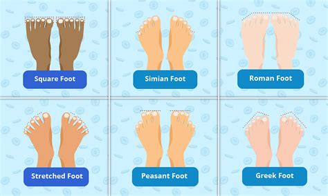 What is a healthy foot shape?