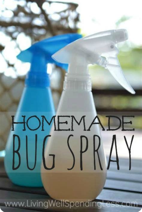 What is a homemade household bug killer?