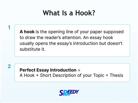What is a hook in an essay?