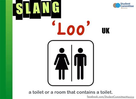 What is a loo slang?