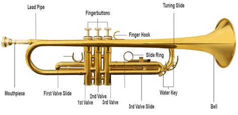 What is a low trumpet called?