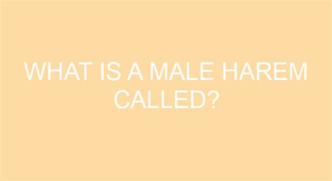 What is a male harem called?
