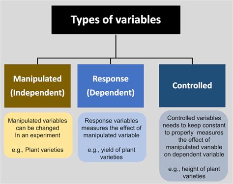 What is a manipulated independent variable example?
