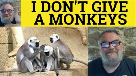 What is a monkey in slang?