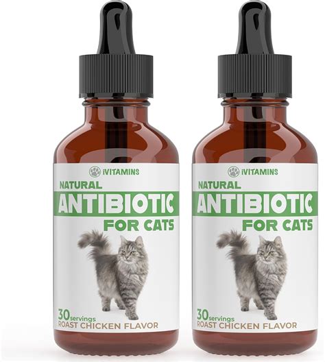 What is a natural antibiotic for cats ears?