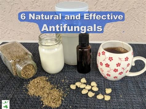 What is a natural antifungal for scalp?