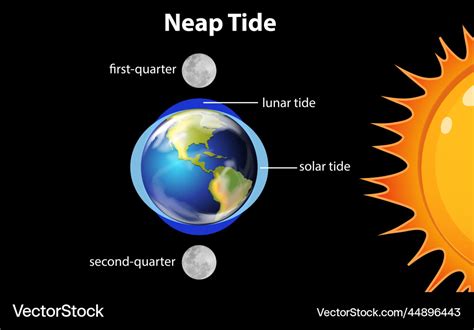 What is a neap tide?