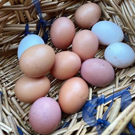 What is a pink egg?