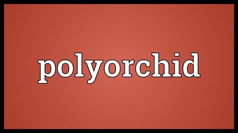 What is a polyorchid?