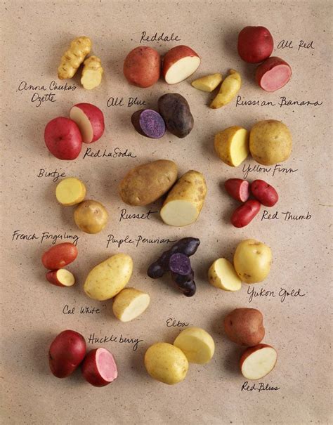 What is a potato seed called?