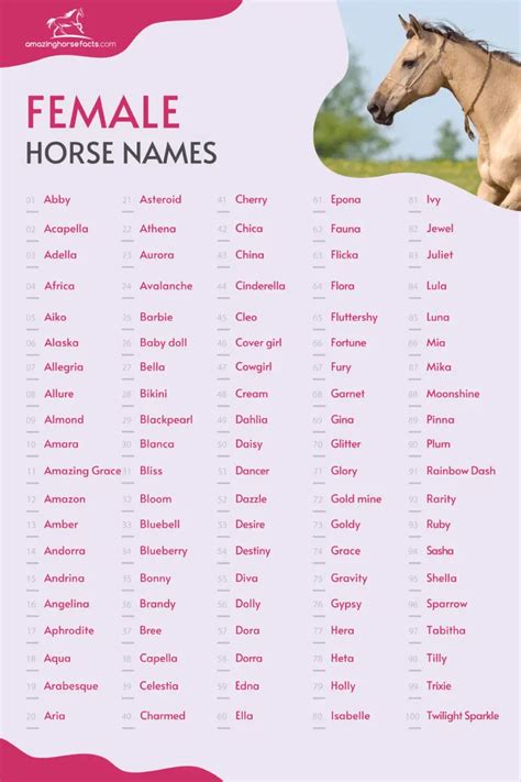 What is a pretty horse name?