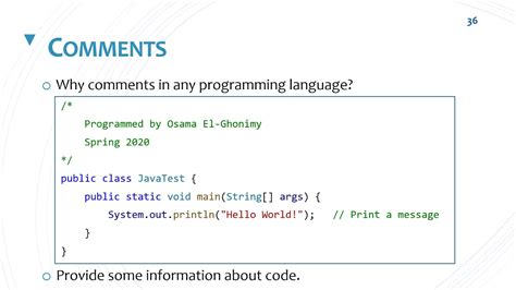 What is a program comment?
