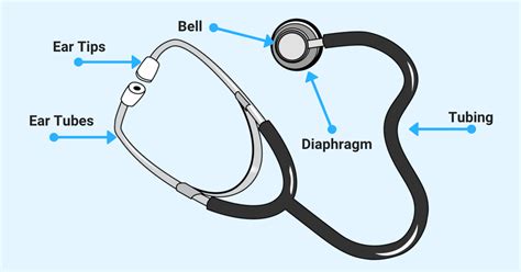 What is a pulse taken with a stethoscope called?