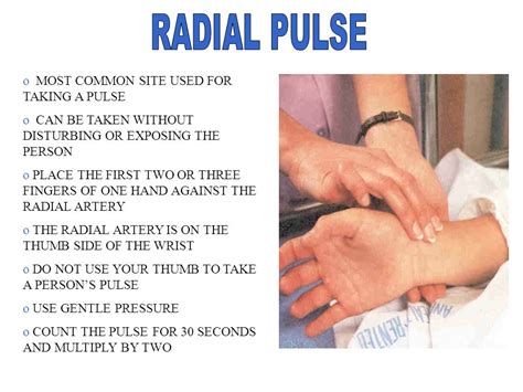 What is a radial pulse?