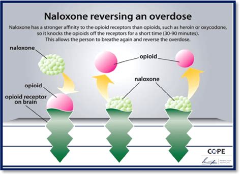 What is a reverse antidote?