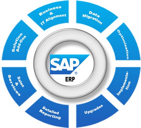 What is a sap meaning?