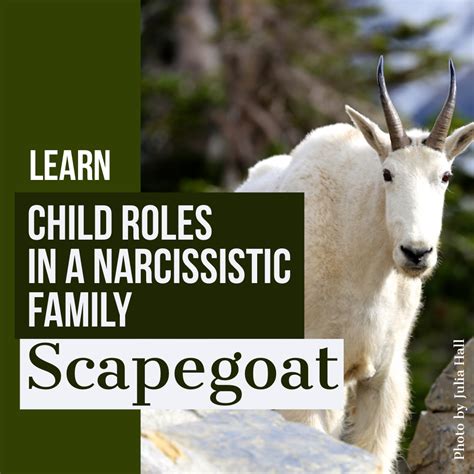 What is a scapegoat child?