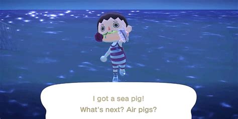 What is a sea pig in Animal Crossing?