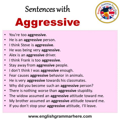 What is a sentence for aggressive?