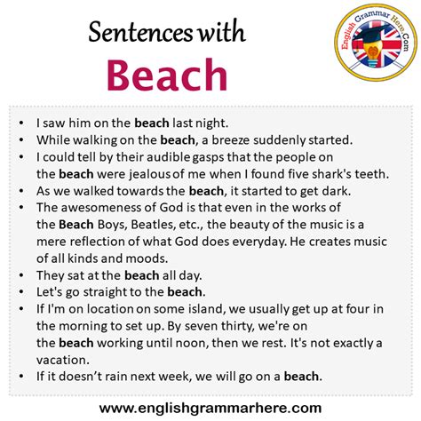What is a sentence for beaches?