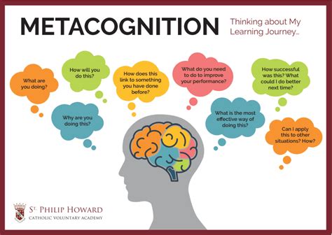 What is a sentence with metacognition?