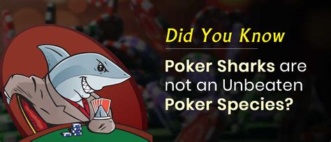 What is a shark in poker?