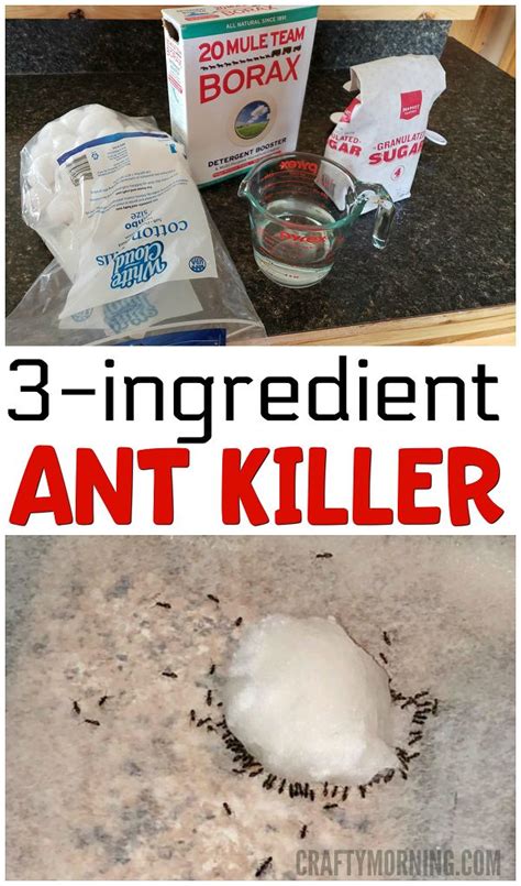 What is a simple homemade ant killer?