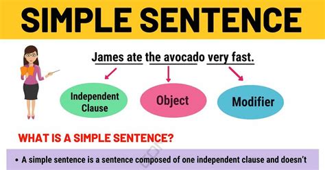 What is a simple sentence for biological?