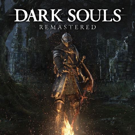 What is a soul in Dark Souls?