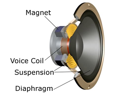 What is a speaker called?