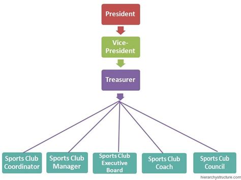 What is a sports club president?