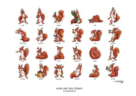 What is a squirrel's body language?