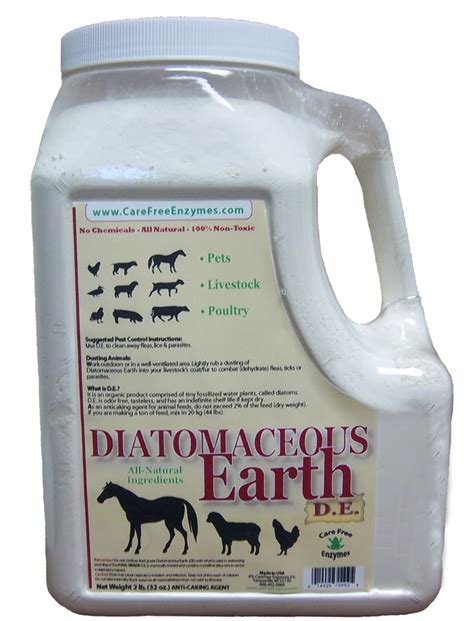 What is a substitute for diatomaceous earth?