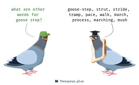 What is a synonym for goose step?