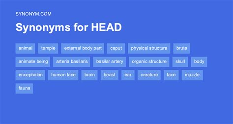 What is a synonym for head of hair?